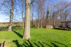 Photo 19- click for photo gallery